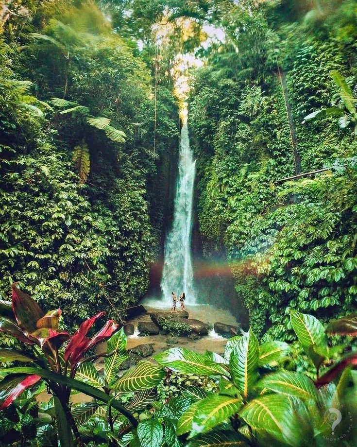 Magic Nature and Temples tour in Bali