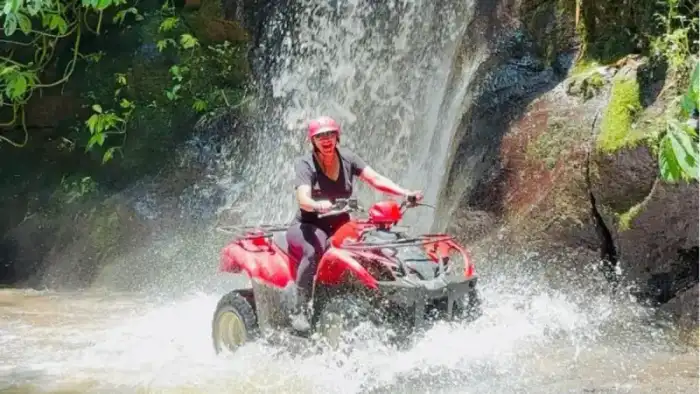 ATV through bamboo forest