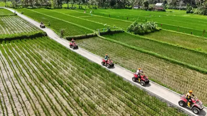 ATV quad adventure Bali