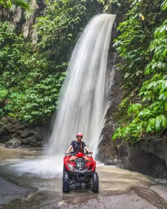 ATV quad in rice fields