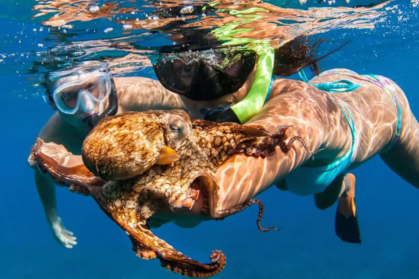 Snorkeling in Blue Lagoon Bali