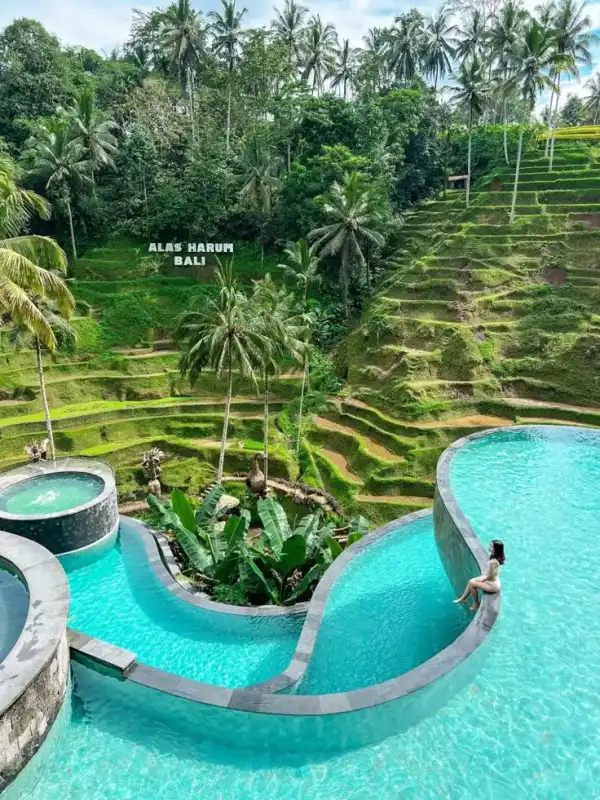 Ubud lifestyle experience
