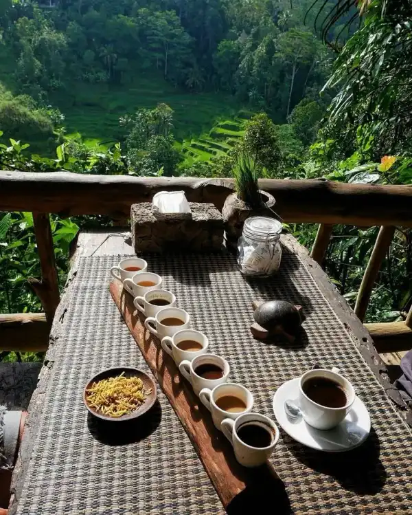 Voyage to Bali scenic view