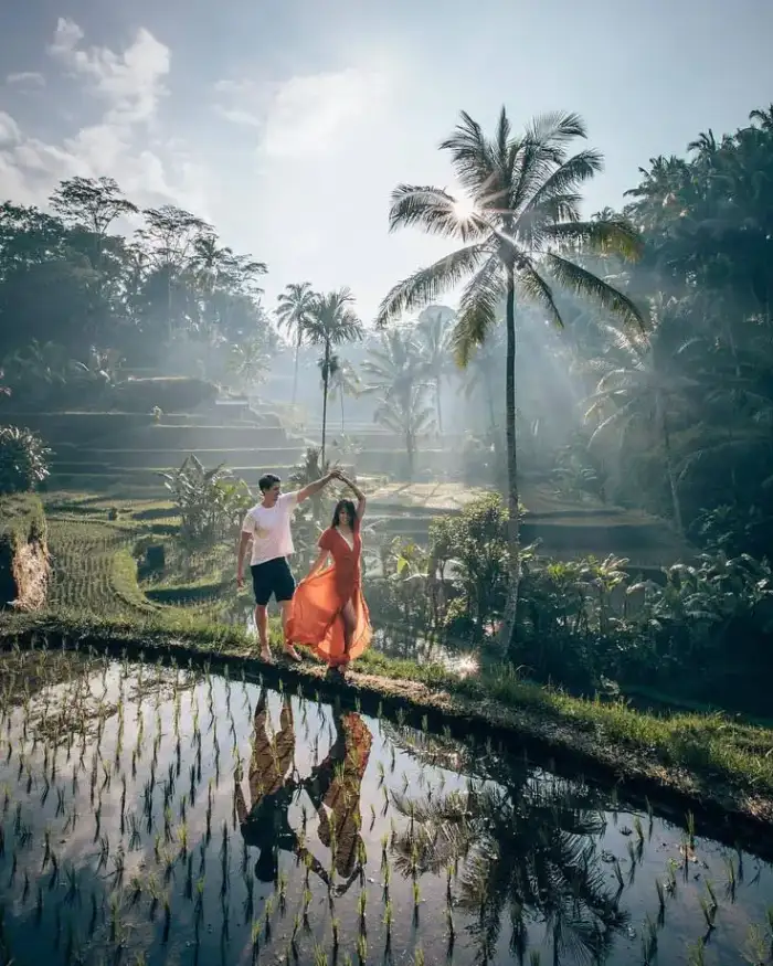 Rice terrace exploration