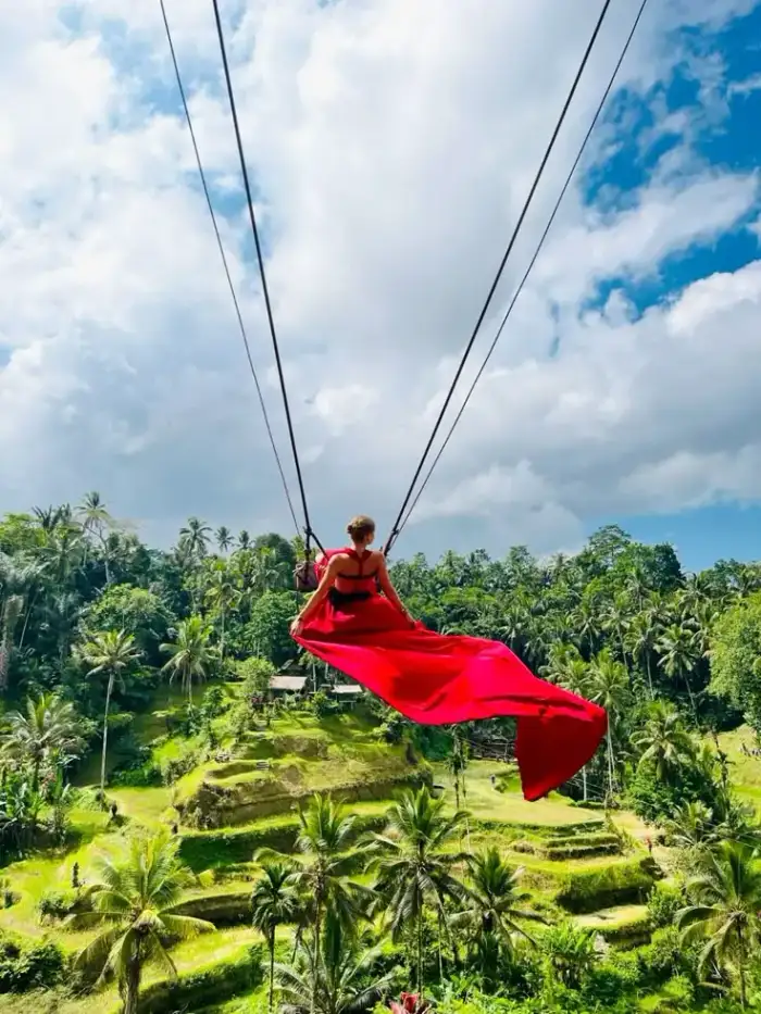 Bali Swing over rice fields