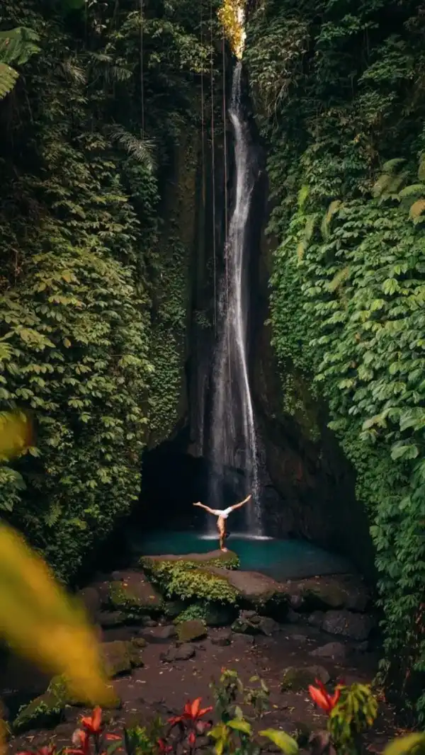 Lush green landscape