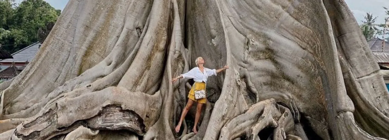 700-year-old Bayan tree in Bali