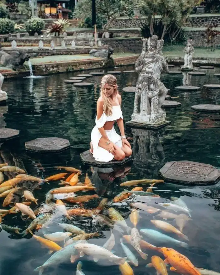 Koi fish pond at Tirta Gangga
