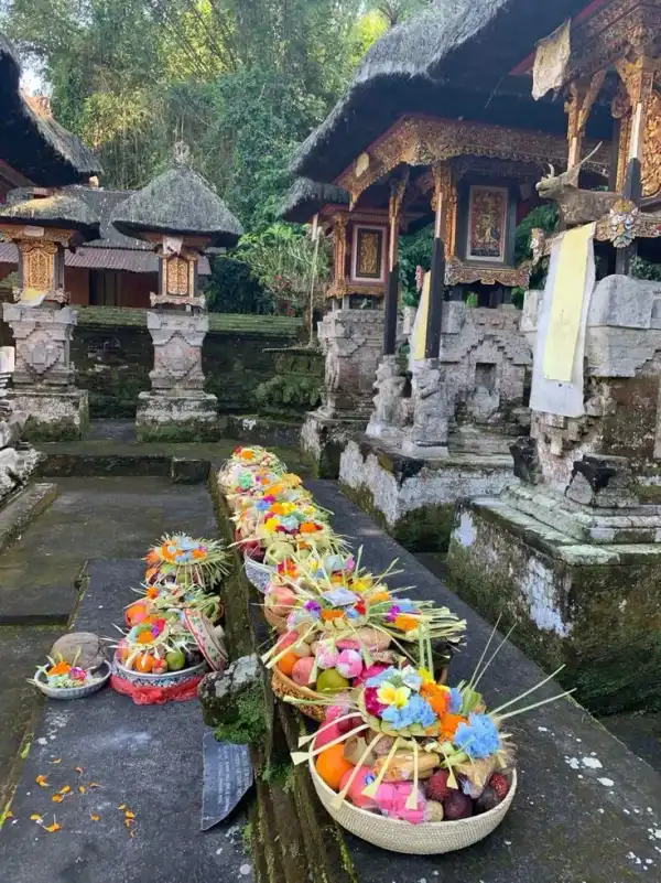 Spiritual Journey in Ubud — photo 19