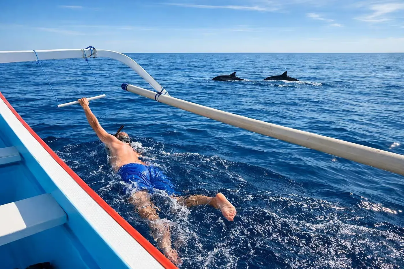 Wild dolphins and private boat in Lovina, Bali 1