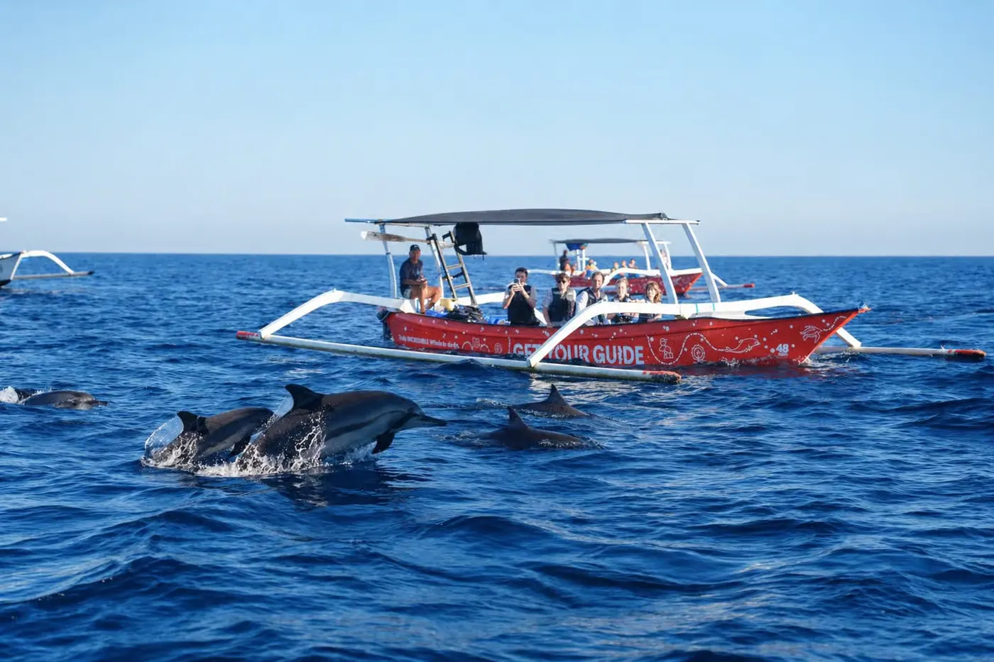 Wild dolphins and private boat in Lovina, Bali 5