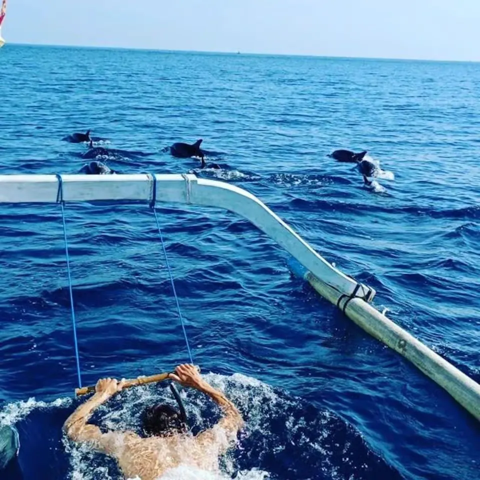 Wild dolphins and private boat in Lovina, Bali 6