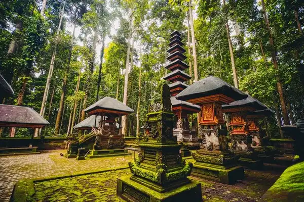 Ubud Best in One Day 5