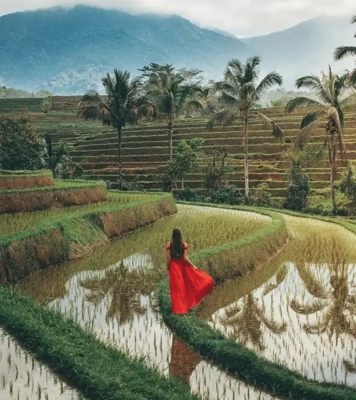 Ubud Best in One Day 12