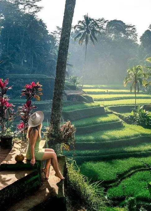 Ubud Best in One Day 15