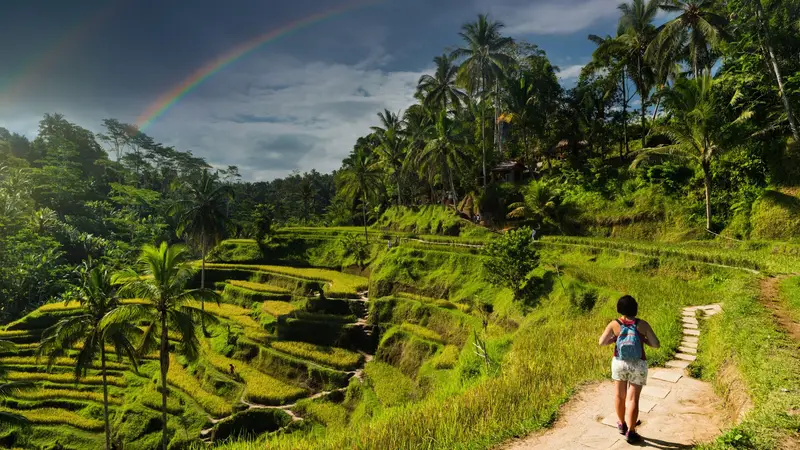 Ubud Best in One Day 16