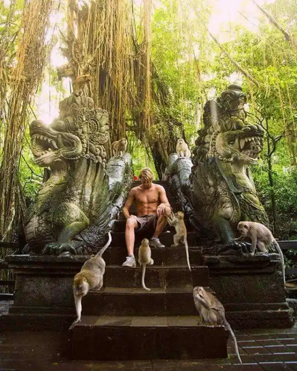 Ubud Best in One Day 20
