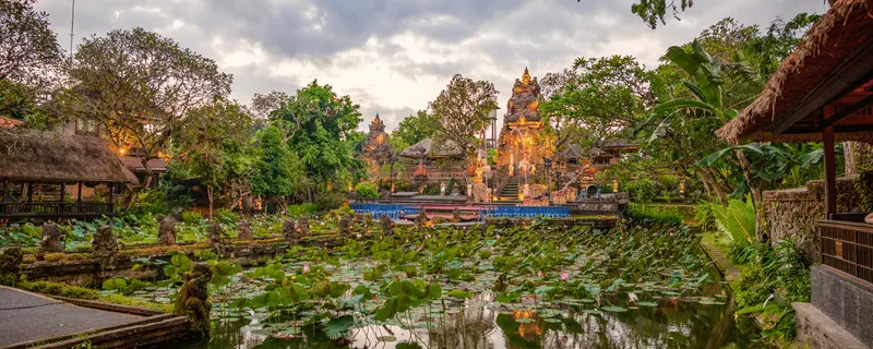 Saraswati Temple lotus ponds